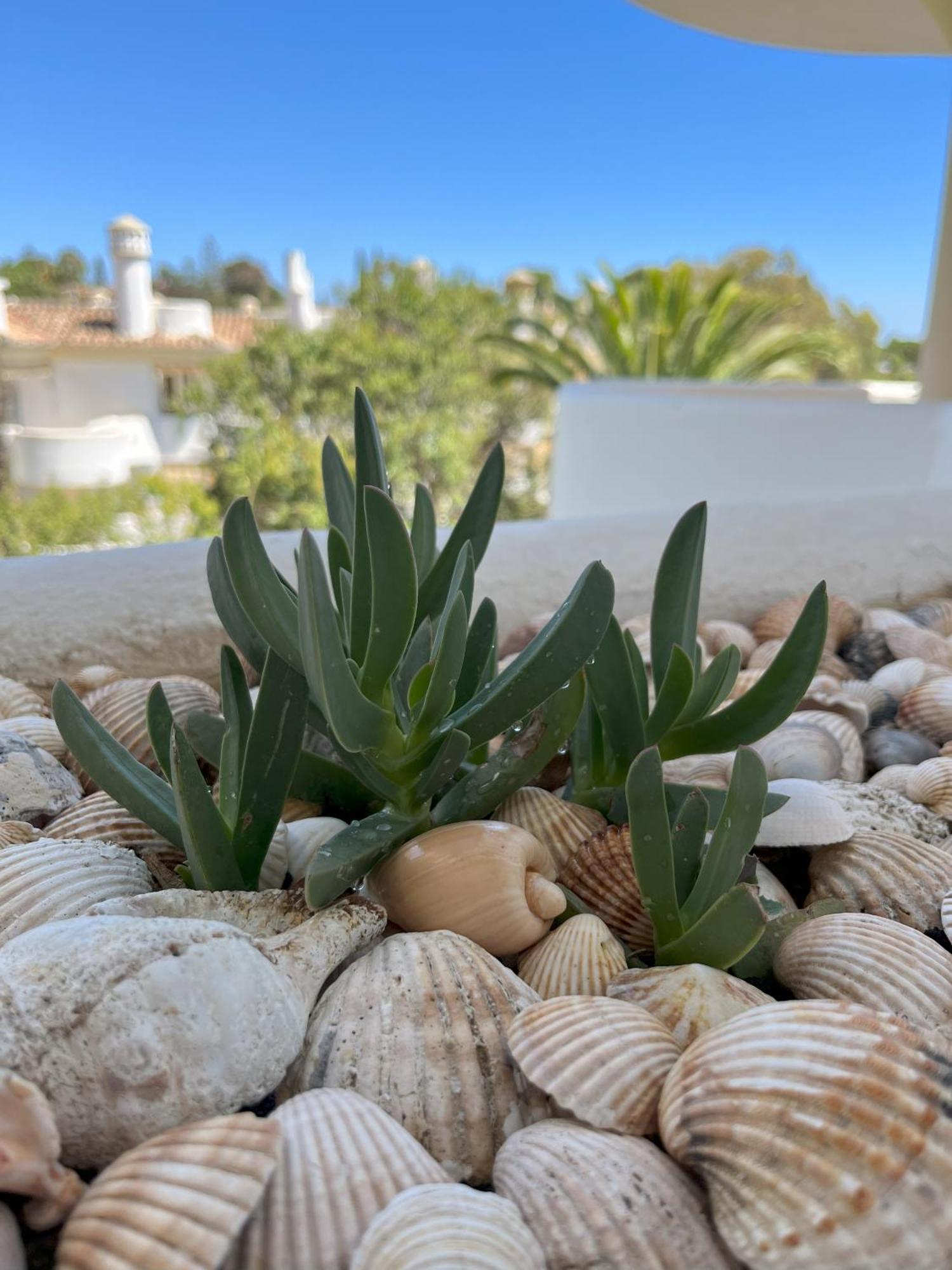 Casadeleon - Costadelsol Vacations & Remote Work Sitio de Calahonda Exteriör bild