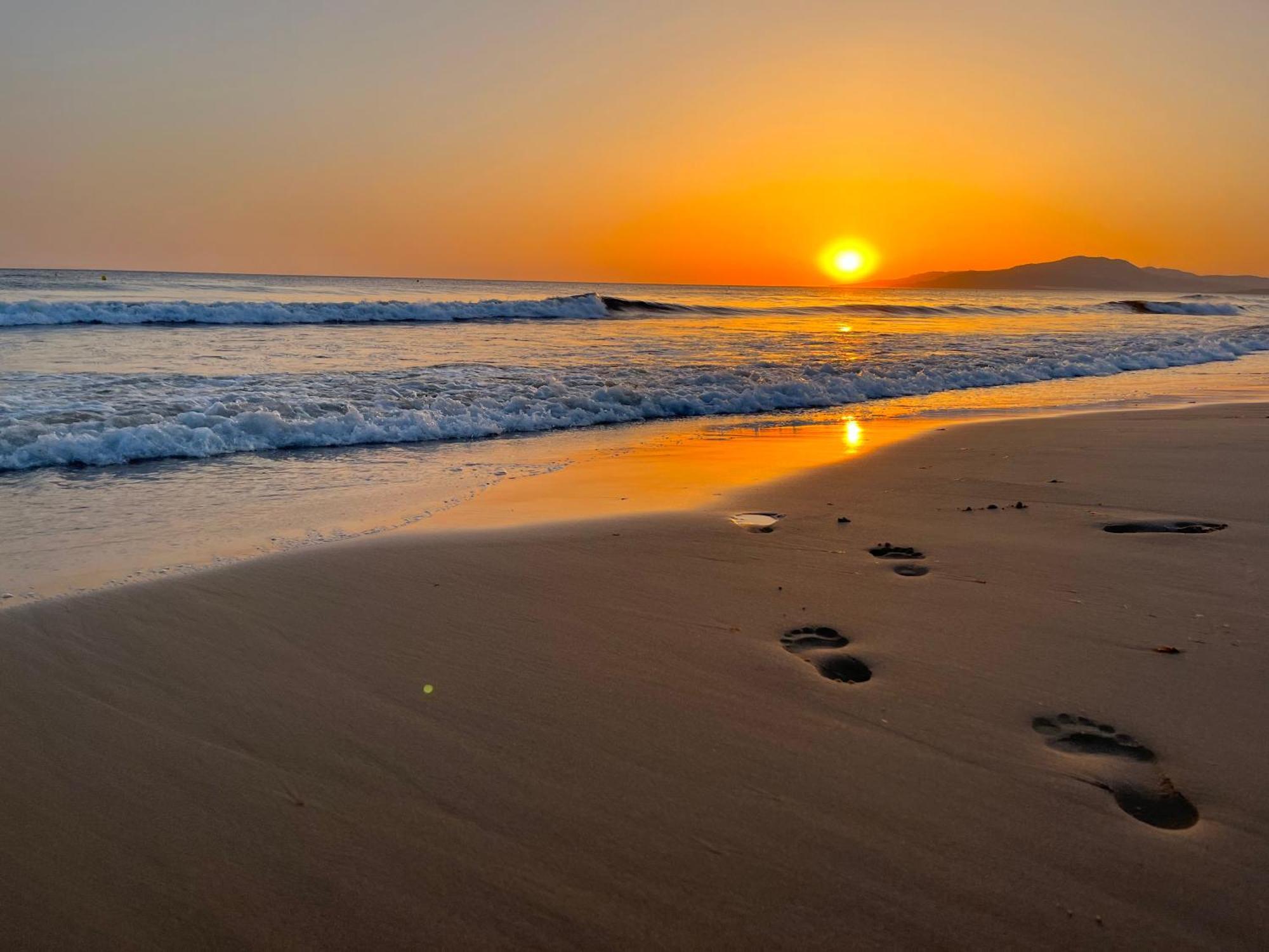 Casadeleon - Costadelsol Vacations & Remote Work Sitio de Calahonda Exteriör bild