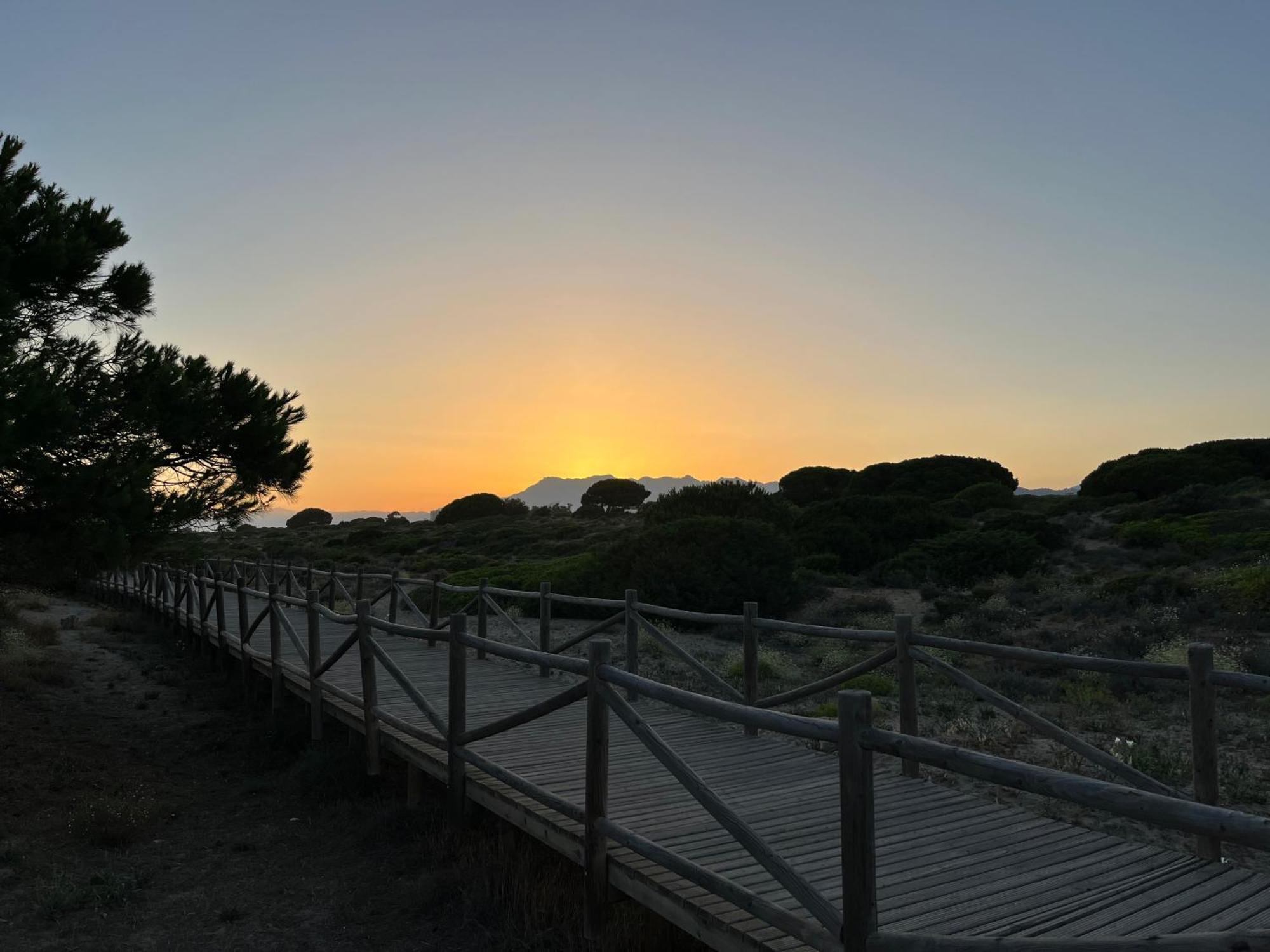 Casadeleon - Costadelsol Vacations & Remote Work Sitio de Calahonda Exteriör bild